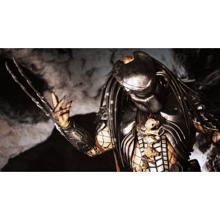 Alien Vs. Predator Picture 8