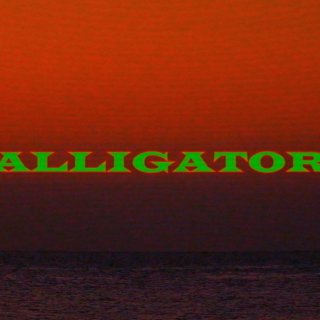 Alligator (2026)