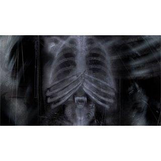 Alone in the Dark (2005)