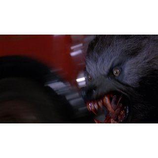 American Werewolf in London, An (1970)