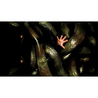 Anacondas: The Hunt for the Blood Orchid (2004)