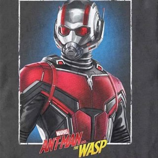Ant-Man and the Wasp Picture 13