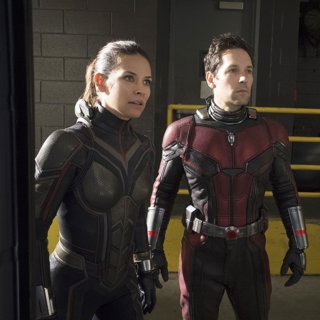 Evangeline Lilly stars as Hope van Dyne/The Wasp and Paul Rudd stars as Scott Lang/Ant-Man in Walt Disney Pictures' Ant-Man and the Wasp (2018)