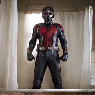 Ant-Man Picture 21