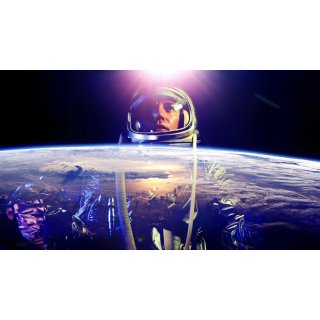 Astronaut Farmer, The Picture 2