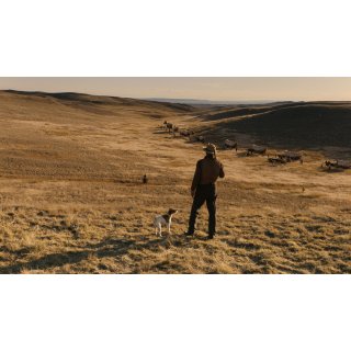 Ballad Of Buster Scruggs, The Picture 5