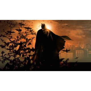 Batman Begins (2005)