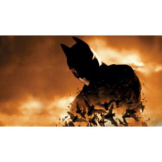 Batman Begins (2005)