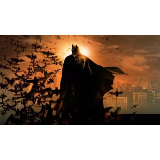 Batman Begins (2005)