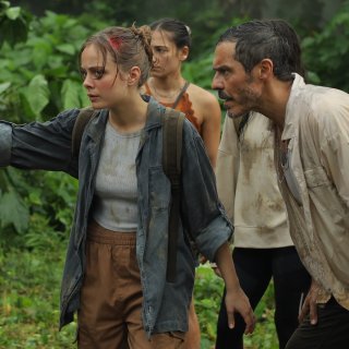 Bayou, The Picture 2