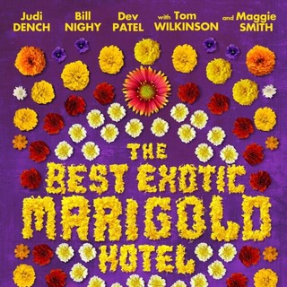 The Best Exotic Marigold Hotel Picture 4
