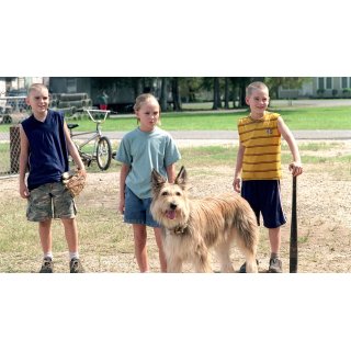 Because of Winn Dixie (2005)