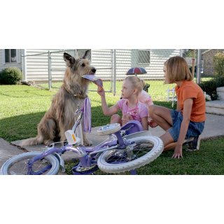 Because of Winn Dixie (2005)