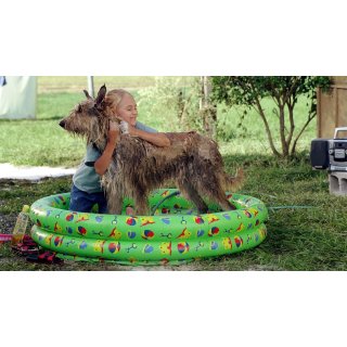 Because of Winn Dixie (2005)
