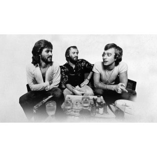 Bee Gees: How Can You Mend a Broken Heart, The (2020)