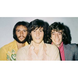 Bee Gees: How Can You Mend a Broken Heart, The (2020)