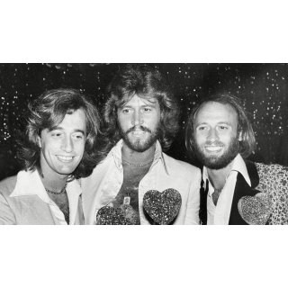 Bee Gees: How Can You Mend a Broken Heart, The (2020)