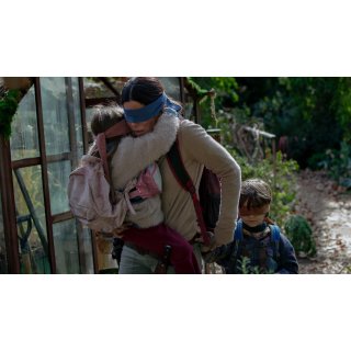 Bird Box (2018)
