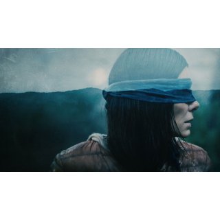 Bird Box (2018)