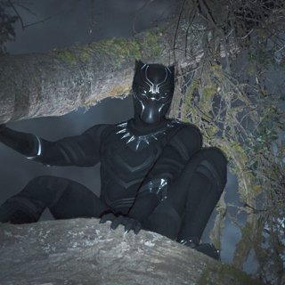 Black Panther from Walt Disney Pictures' Black Panther (2018)