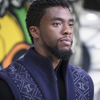 Black Panther Picture 21