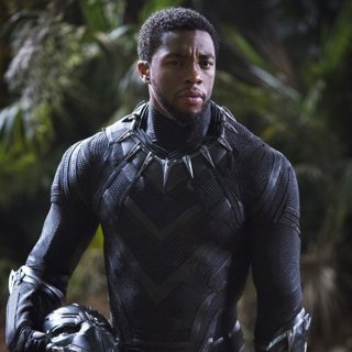 Black Panther Picture 25