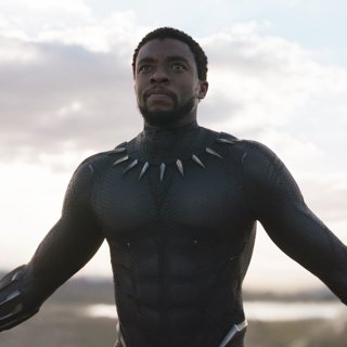 Black Panther Picture 36