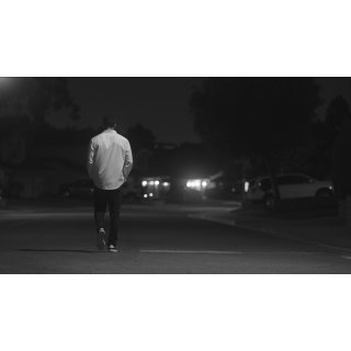 Black Dove (2026)