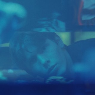 Blowfish Picture 4