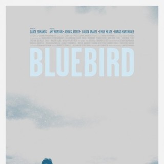 Bluebird Picture 6