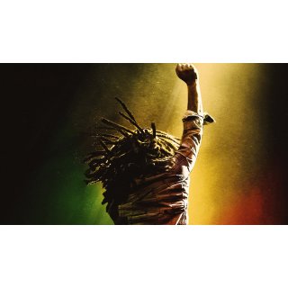 Bob Marley: One Love Picture 1