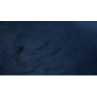 Bourne Identity, The Picture 6