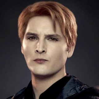 Twilight Saga's Breaking Dawn Part II, The Picture 50