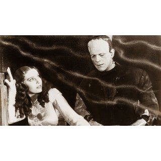 Bride Of Frankenstein Picture 5