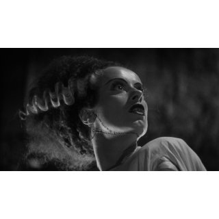 Bride Of Frankenstein Picture 6
