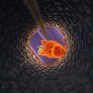 Buddy Picture 3