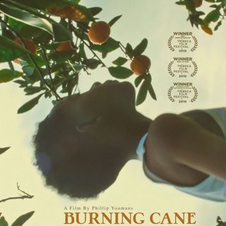 Poster of Array Releasing's Burning Cane (2019)