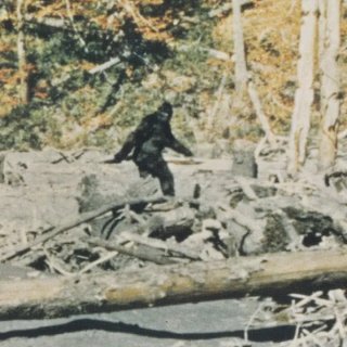 Capturing Bigfoot Picture 2