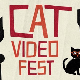 CatVideoFest 2026 (2026)