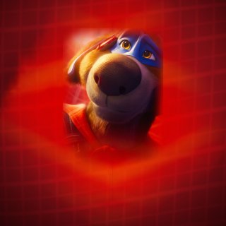 Charlie The Wonderdog Picture 1