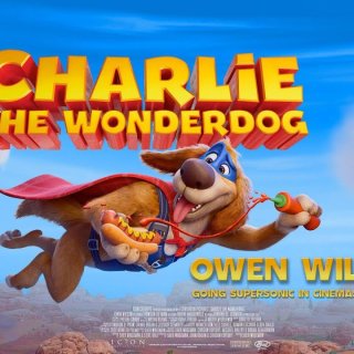 Charlie The Wonderdog Picture 8