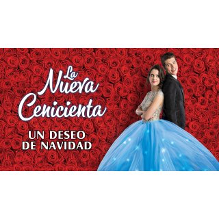 Cinderella Story: Christmas Wish, A (2019)