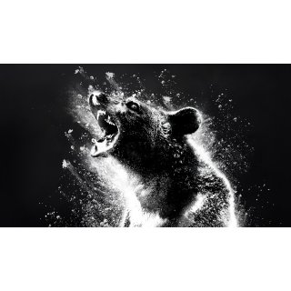 Cocaine Bear Picture 2
