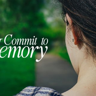 Commit to Memory (2026)