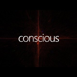 conscious (2026)