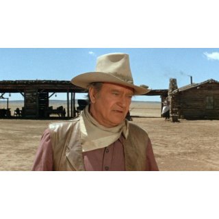 Cowboys, The Picture 1