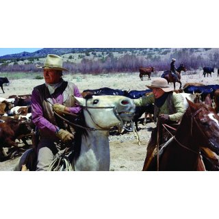 Cowboys, The Picture 10