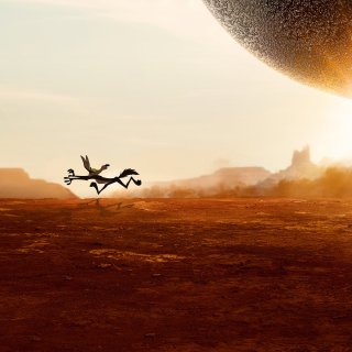 Coyote vs. Acme (2026)