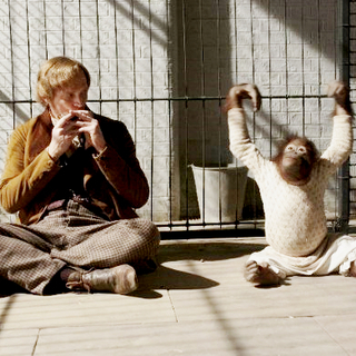Paul Bettany stars as Charles Darwin in Newmarket Films' Creation (2010)