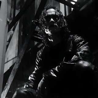 Crow, The Picture 3